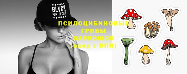 ешки Дмитровск
