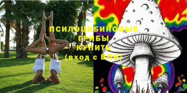 герыч Дмитриев