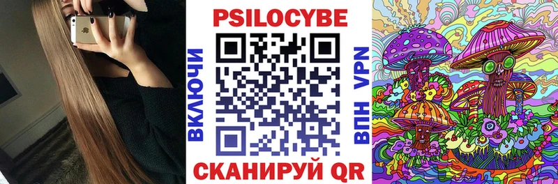 Псилоцибиновые грибы Psilocybe  Междуреченск 